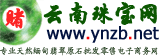 赌石论坛
